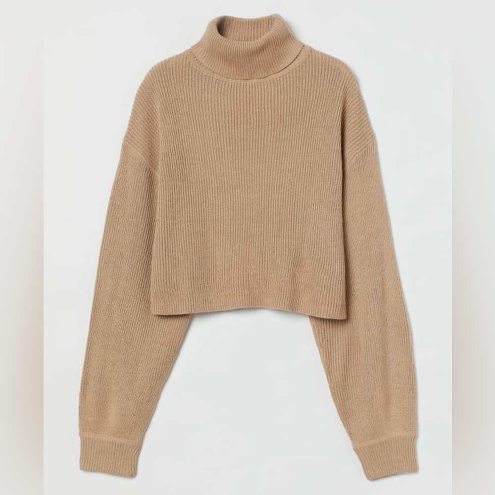 H&M Tan Cropped Turtleneck Sweater